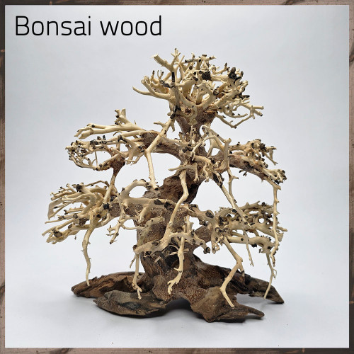 خشب من النوع Bonsai wood مجسم رقم 18 خشب من النوع Bonsai wood مجسم رقم 18