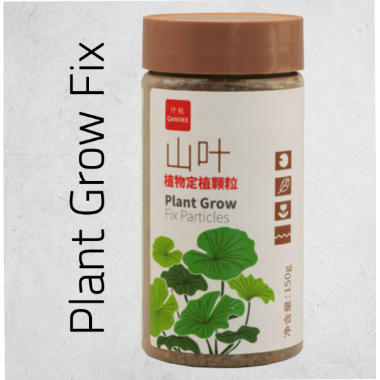 سماد تربة للأحواض الصغيرة لون بني داعم - QANVEE Plant Grow Fix