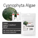 مكافح الطحالب العنيدة الزرقاء المخضرة - Cyanophyta Algae مكافح الطحالب العنيدة الزرقاء المخضرة - Cyanophyta Algae