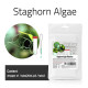 مكافح الطحالب العنيدة القرون الشعرية - Staghorn Algae