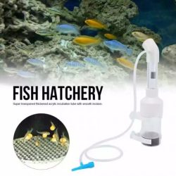 أداة تفريخ بيض الأسماك حجم وسط وكبير - Brine fish incubator
