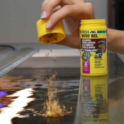 غذاء ورقي مدعم بالثوم لمناعة أكثر - JBL Nove Bel غذاء ورقي مدعم بالثوم لمناعة أكثر - JBL Nove Bel