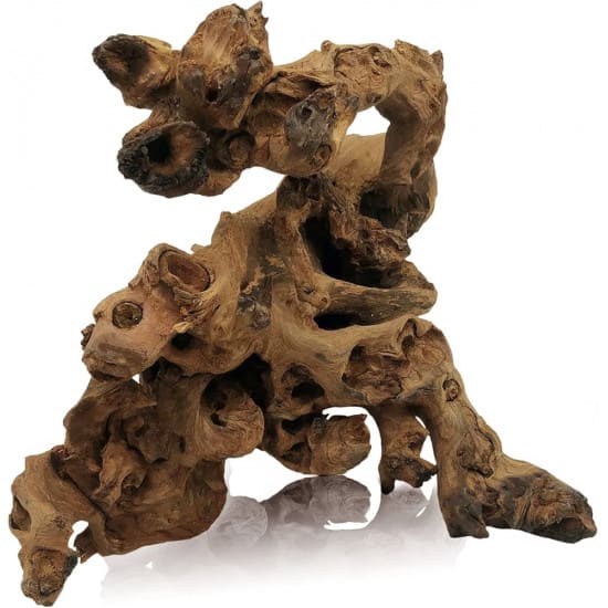 خشب متحجر من النوع Coral Wood مقاس وسط وكبير (معالج) خشب متحجر من النوع Coral Wood مقاس وسط وكبير (معالج)