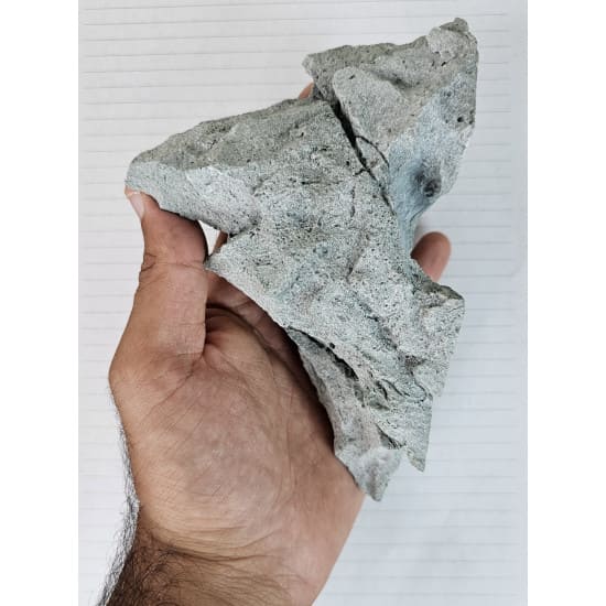 مجسم طبيعي للأحواض الصغيرة بحجم صغير ووسط - XT311