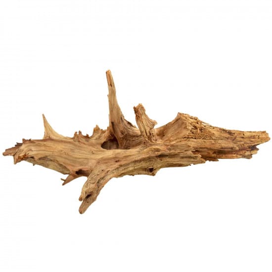 خشب الحظ المميز باللون الخشبي الفاتح - Lucky Wood Stump