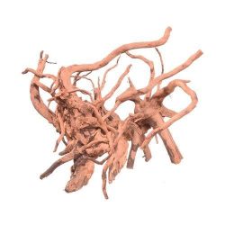خشب متحجر من النوع Driftwood حجم L (معالج)