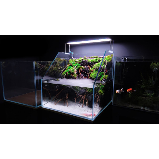 حوض زجاجي بولداريوم حجم 120x50x22 سم - PALUDARIUM Tank حوض زجاجي بولداريوم حجم 120x50x22 سم - PALUDARIUM Tank