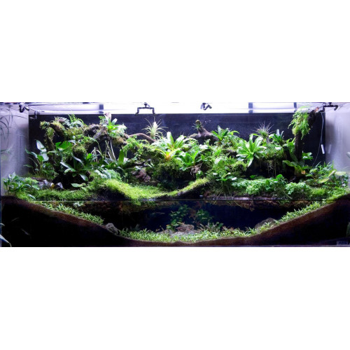حوض زجاجي بولداريوم حجم 120x50x22 سم - PALUDARIUM Tank حوض زجاجي بولداريوم حجم 120x50x22 سم - PALUDARIUM Tank