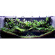 حوض زجاجي بولداريوم حجم 120x50x22 سم - PALUDARIUM Tank حوض زجاجي بولداريوم حجم 120x50x22 سم - PALUDARIUM Tank