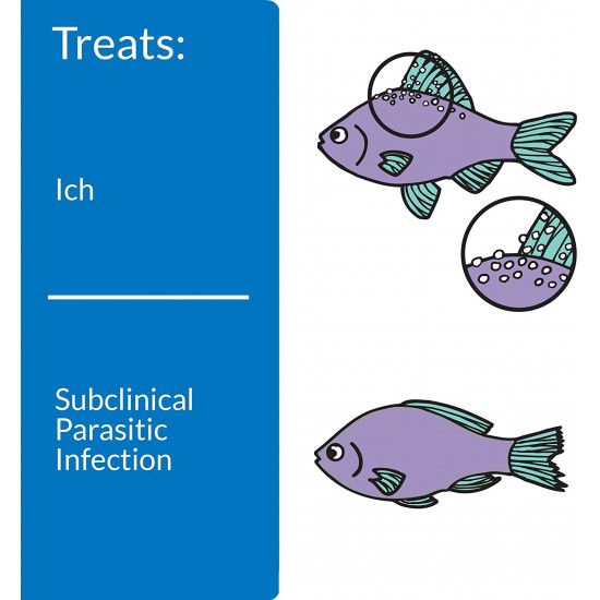 API - Super Ick 113ml