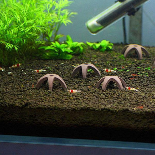 سيراميك فخار أسود على شكل نجمة لربيان والأسماك الصغيرة سيراميك فخار أسود على شكل نجمة لربيان والأسماك الصغيرة