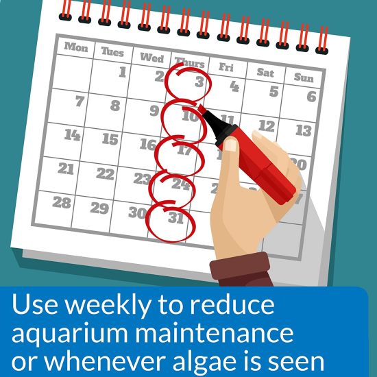 مزيل الطحالب الفعال بحجم صغير وكبير - API Algae Remover مزيل الطحالب الفعال بحجم صغير وكبير - API Algae Remover