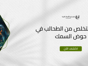 كيفية التخلص من الطحالب في حوض السمك