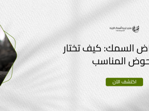 أنواع أحواض السمك: كيف تختار الحوض المناسب