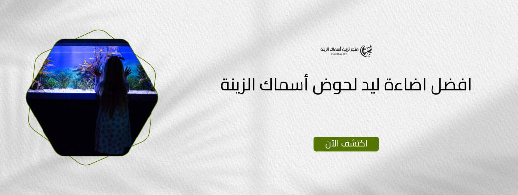 افضل اضاءة ليد لحوض أسماك الزينة