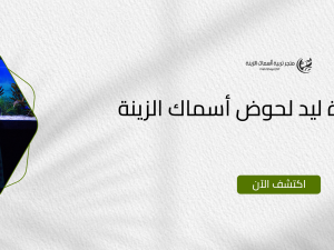 افضل اضاءة ليد لحوض أسماك الزينة افضل اضاءة ليد لحوض أسماك الزينة