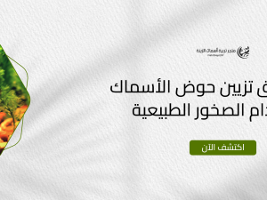 أفضل طرق تزيين حوض الأسماك باستخدام الصخور الطبيعية أفضل طرق تزيين حوض الأسماك باستخدام الصخور الطبيعية