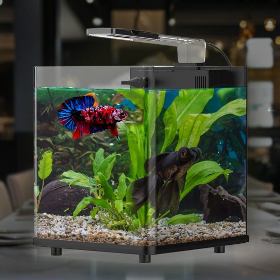 حوض مكعب بحجم 18لتر - EARTH T aquarium حوض مكعب بحجم 18لتر - EARTH T aquarium