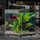 حوض مكعب بحجم 18لتر - EARTH T aquarium حوض مكعب بحجم 18لتر - EARTH T aquarium