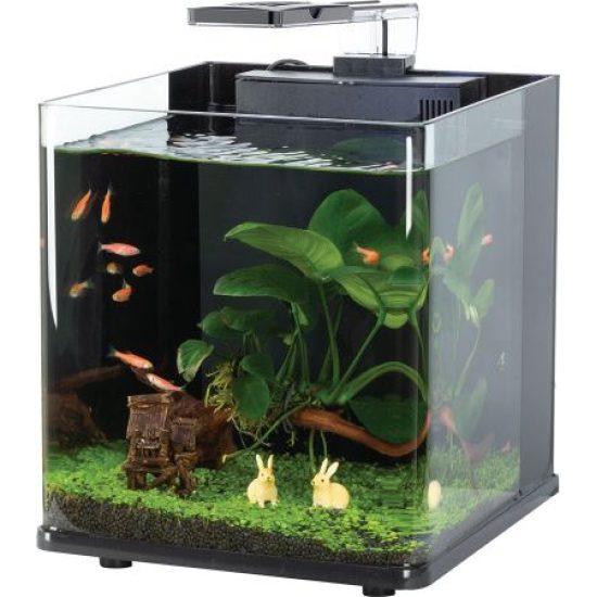 حوض مكعب بحجم 18لتر - EARTH T aquarium حوض مكعب بحجم 18لتر - EARTH T aquarium