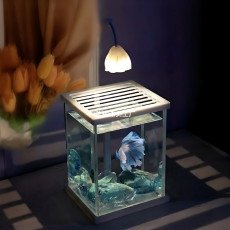 حوض الفايتر زجاج كرستال أنيق - Betta Aquarium