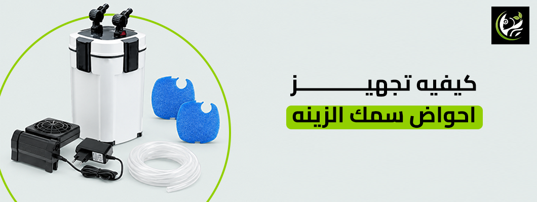 كيفيه تجهيز احواض سمك الزينه 