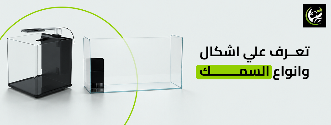 تعرف علي اشكال انواع السمك