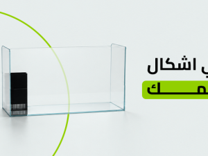 تعرف علي اشكال انواع السمك تعرف علي اشكال انواع السمك