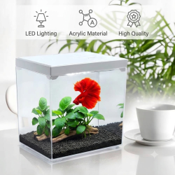 حوض إكريلك كيوت لأسماك الفايتر مع الفلتر - MINI aquarium