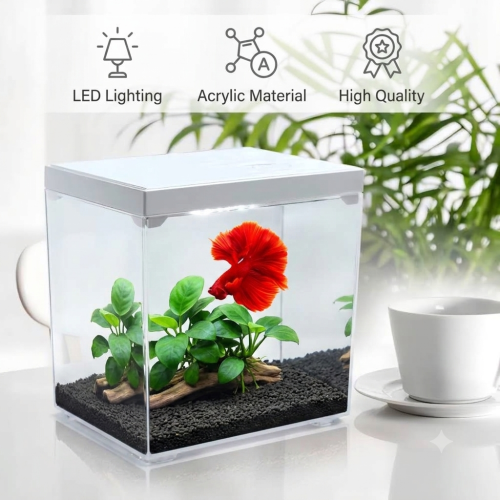 حوض إكريلك كيوت لأسماك الفايتر مع الفلتر - MINI aquarium حوض إكريلك كيوت لأسماك الفايتر مع الفلتر - MINI aquarium