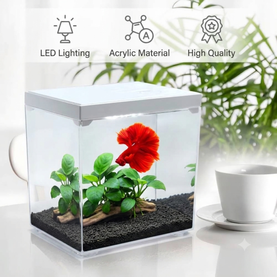 حوض إكريلك كيوت لأسماك الفايتر مع الفلتر - MINI aquarium حوض إكريلك كيوت لأسماك الفايتر مع الفلتر - MINI aquarium