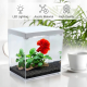 حوض إكريلك كيوت لأسماك الفايتر مع الفلتر - MINI aquarium حوض إكريلك كيوت لأسماك الفايتر مع الفلتر - MINI aquarium