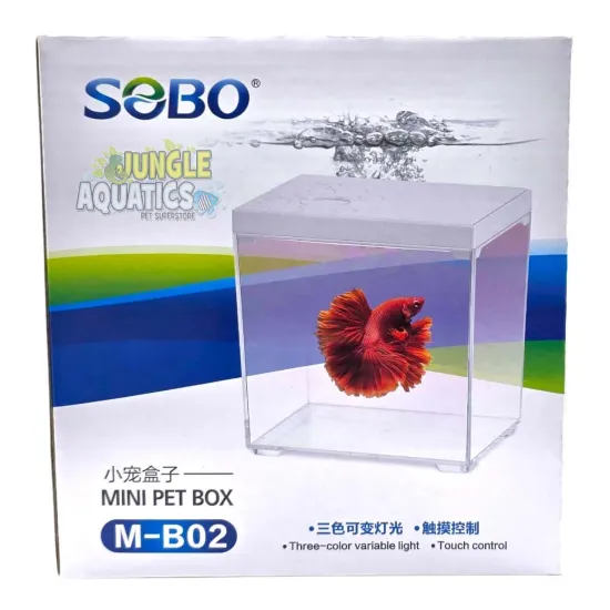 حوض إكريلك كيوت لأسماك الفايتر مع الفلتر - MINI aquarium حوض إكريلك كيوت لأسماك الفايتر مع الفلتر - MINI aquarium