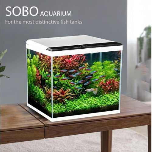حوض الكرستال المودرن الإحترافي المميز مع فلتر وإضاءة نهرية من شركة - SOBO aquarium حوض الكرستال المودرن الإحترافي المميز مع فلتر وإضاءة نهرية من شركة - SOBO aquarium