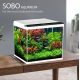 حوض الكرستال المودرن الإحترافي المميز مع فلتر وإضاءة نهرية من شركة - SOBO aquarium حوض الكرستال المودرن الإحترافي المميز مع فلتر وإضاءة نهرية من شركة - SOBO aquarium