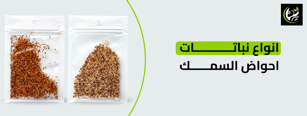 انواع نباتات احواض السمك