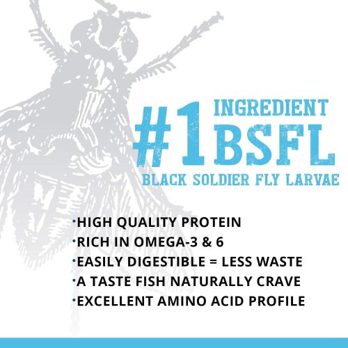 غذاء ورقي للأسماك الأمازونية من الذباب - Aquafin bugpro Flake غذاء ورقي للأسماك الأمازونية من الذباب - Aquafin bugpro Flake