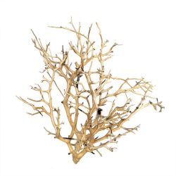 خشب من النوع Sansan Wood لمصمم الأحواض النباتية بمقاس 25 - 29 سم