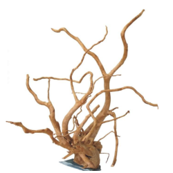 خشب متحجر من النوع Driftwood مع قاعدة من الصخر لتثبيتها على القاع