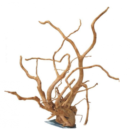 خشب متحجر من النوع Driftwood مع قاعدة من الصخر لتثبيتها على القاع 