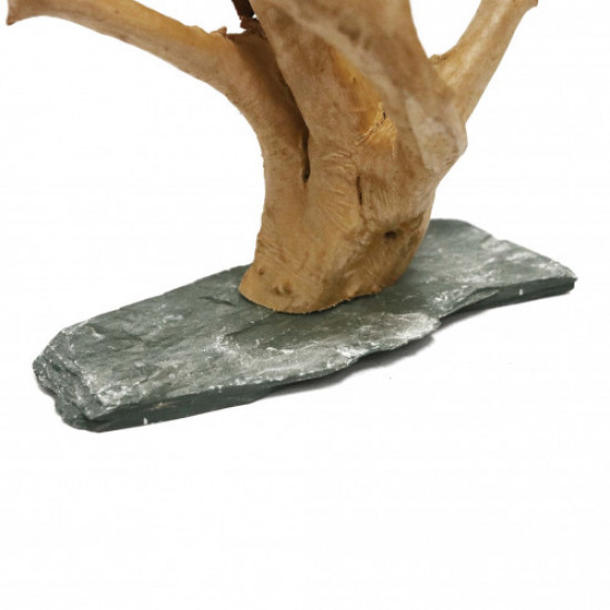 خشب متحجر من النوع Driftwood مع قاعدة من الصخر لتثبيتها على القاع 