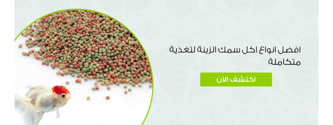 افضل انواع اكل سمك الزينة لتغذية متكاملة افضل انواع اكل سمك الزينة لتغذية متكاملة