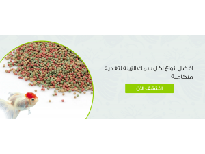 افضل انواع اكل سمك الزينة لتغذية متكاملة افضل انواع اكل سمك الزينة لتغذية متكاملة