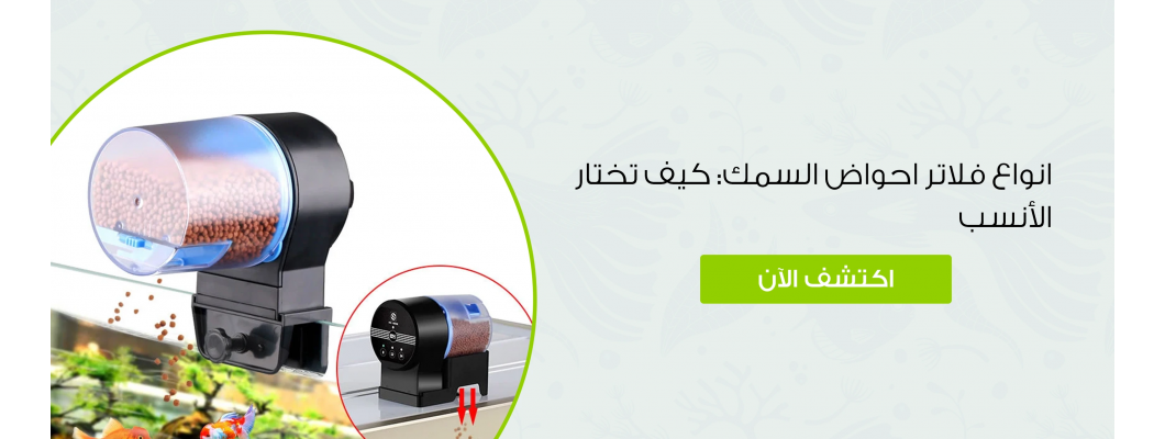 انواع فلاتر احواض السمك: كيف تختار الأنسب انواع فلاتر احواض السمك: كيف تختار الأنسب