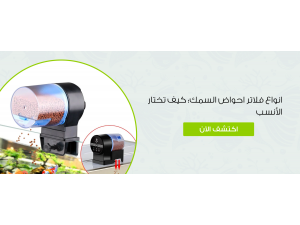 انواع فلاتر احواض السمك: كيف تختار الأنسب