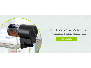 طريقة تركيب فلتر حوض السمك: دليل خطوة بخطوة للمبتدئين طريقة تركيب فلتر حوض السمك: دليل خطوة بخطوة للمبتدئين