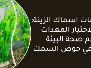 مستلزمات اسماك الزينة: نصائح لاختيار المعدات مستلزمات اسماك الزينة: نصائح لاختيار المعدات