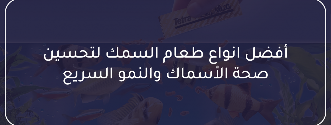 أفضل انواع طعام السمك لتحسين صحة الأسماك والنمو السريع أفضل انواع طعام السمك لتحسين صحة الأسماك والنمو السريع