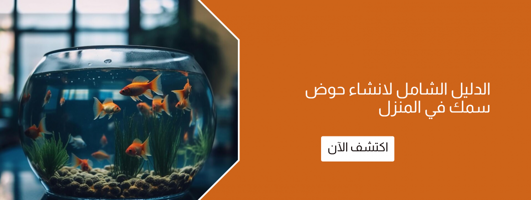 الدليل الشامل لانشاء حوض سمك في المنزل الدليل الشامل لانشاء حوض سمك في المنزل