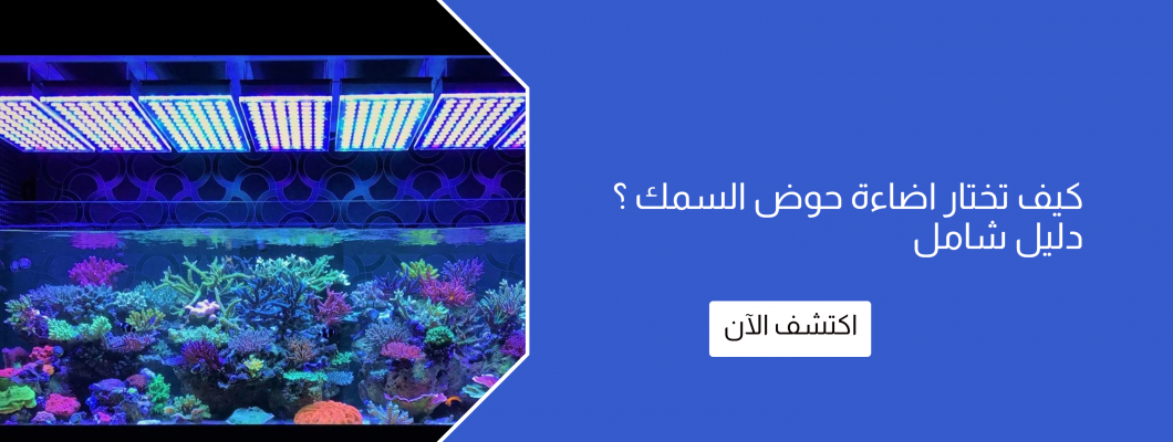 كيف تختار اضاءة حوض السمك ؟ دليل شامل كيف تختار اضاءة حوض السمك ؟ دليل شامل